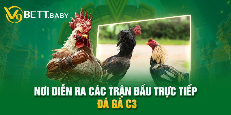 Nơi diễn ra các trận đấu trực tiếp đá gà C3