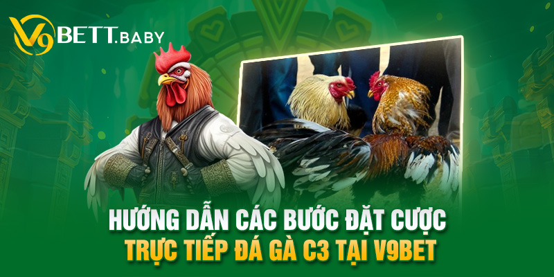 Hướng dẫn các bước đặt cược trực tiếp đá gà C3 tại V9bet