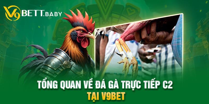 Tổng quan về đá gà trực tiếp C2 tại V9bet