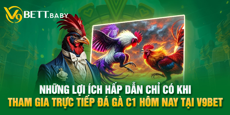 Những lợi ích hấp dẫn chỉ có khi tham gia trực tiếp đá gà C1 hôm nay tại V9bet