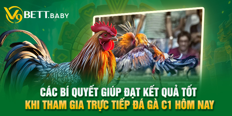 Các bí quyết giúp đạt kết quả tốt khi tham gia trực tiếp đá gà C1 hôm nay