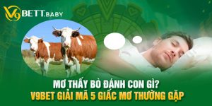 Mơ Thấy Bò Đánh Con Gì? V9bet Giải Mã 5 Giấc Mơ Thường Gặp