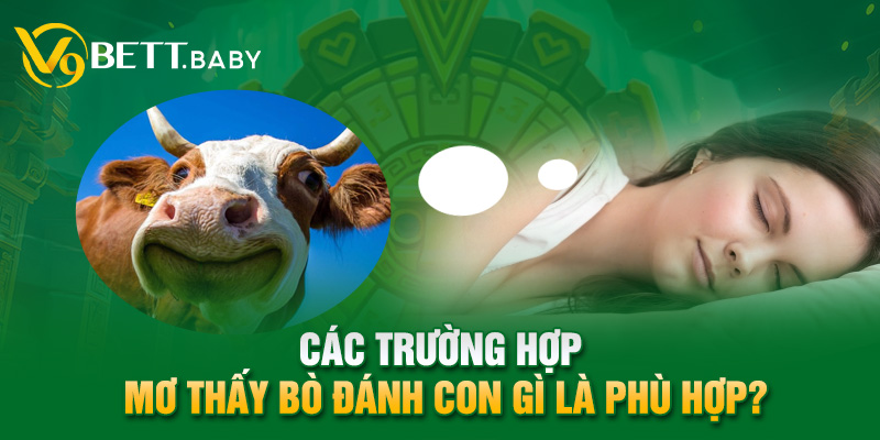 Các trường hợp mơ thấy bò đánh con gì là phù hợp?