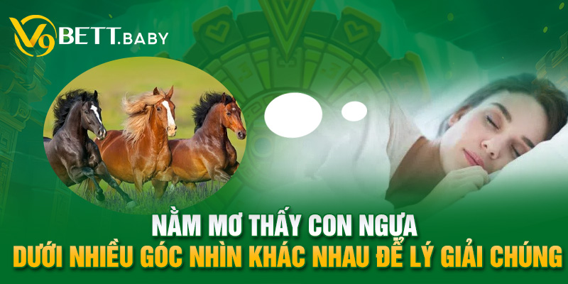 Nằm mơ thấy con ngựa dưới nhiều góc nhìn khác nhau để lý giải chúng