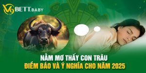 Nằm Mơ Thấy Con Trâu - Điềm Báo Và Ý Nghĩa Cho Năm 2025